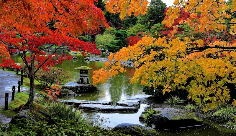 Washington Park Arboretum