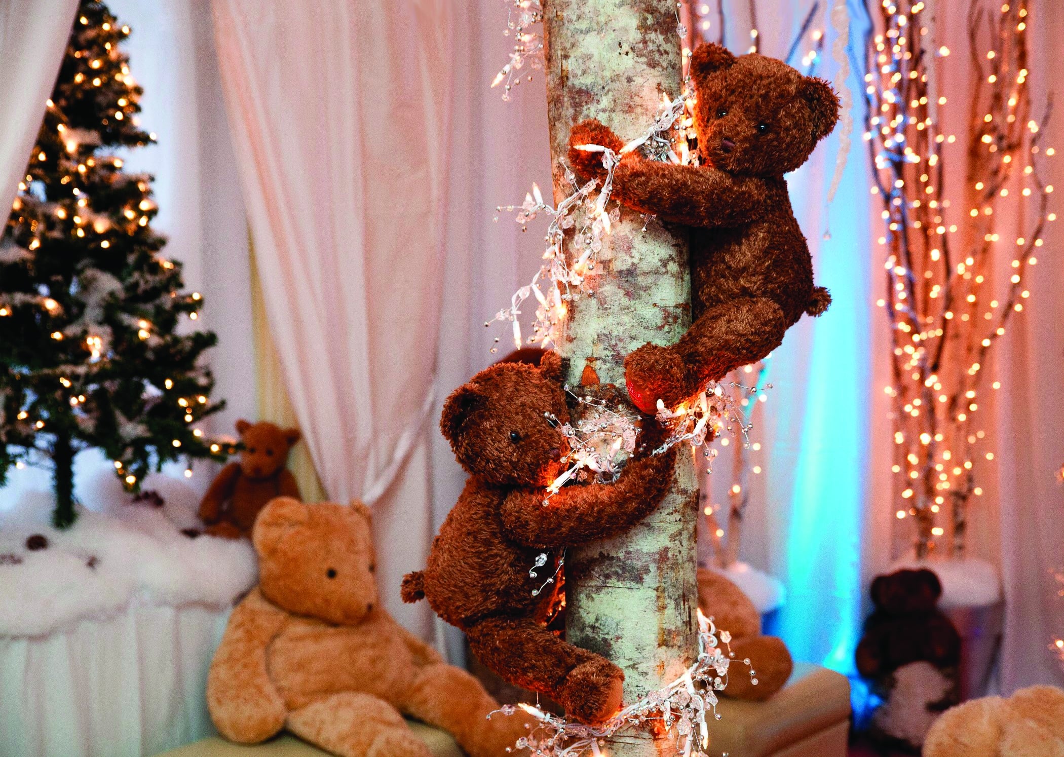 Teddy Bear Suite Experience 2