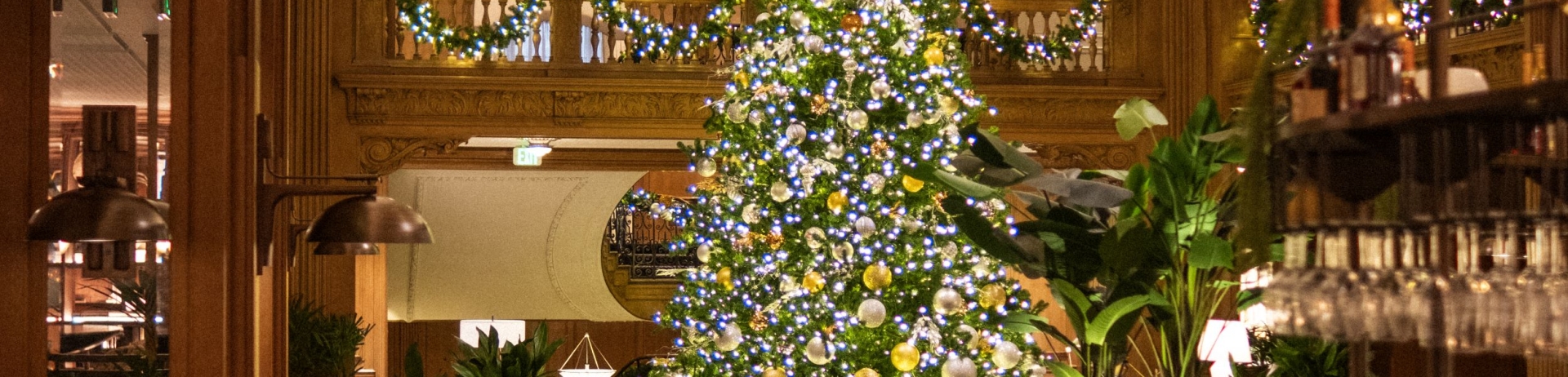 Tree in lobby