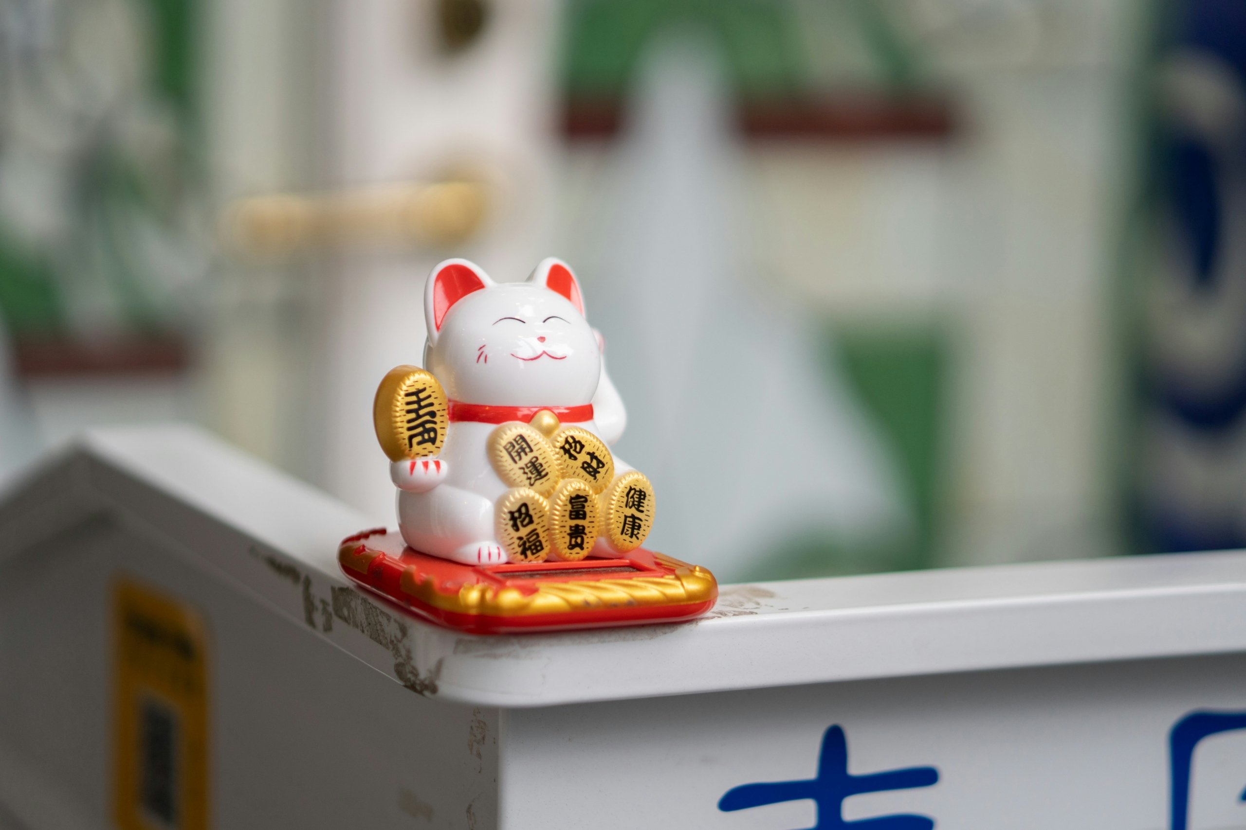 Chinese moneycat