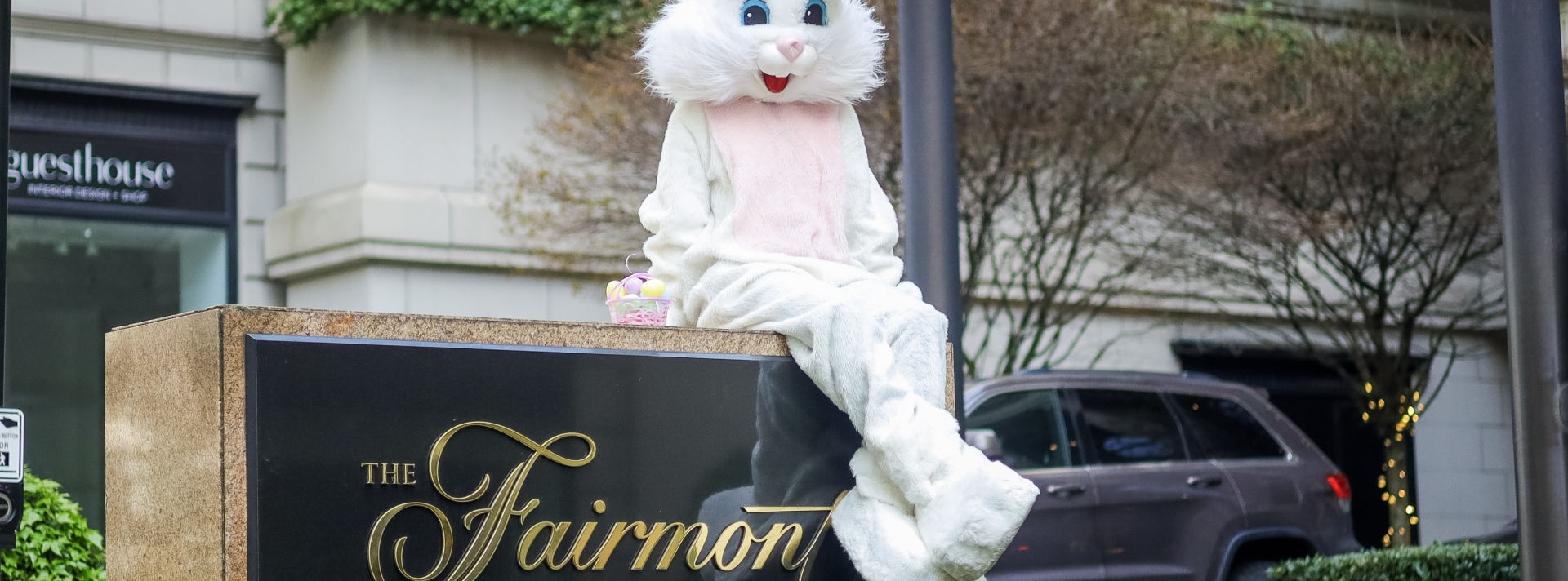 easter bunny outside