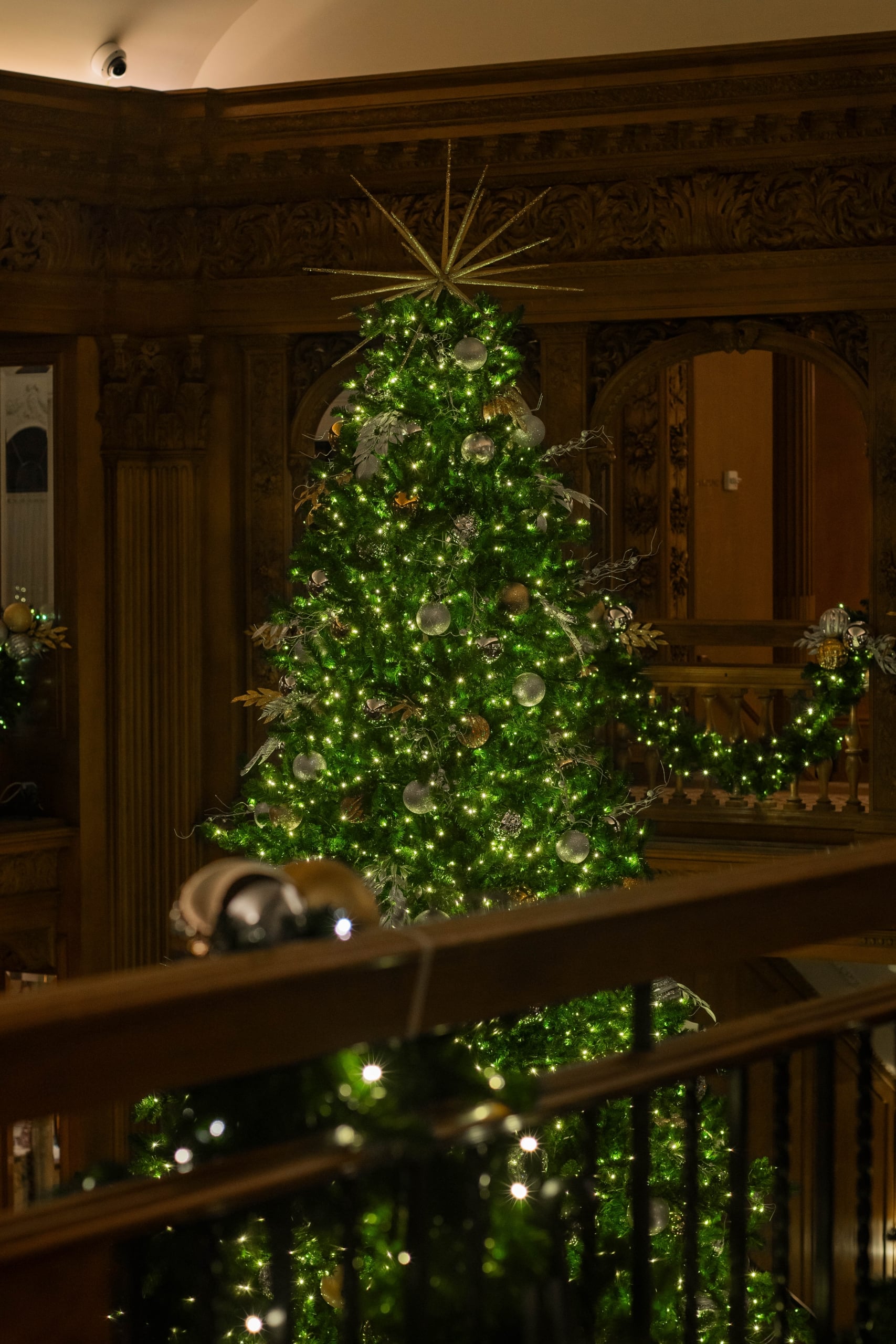 holiday tree